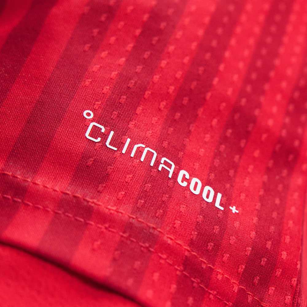 Player Edition FC Bayern Munich Home Kit 26/27